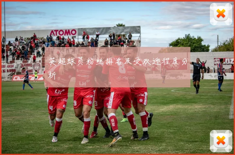 英超球员粉丝排名及受欢迎程度分析
