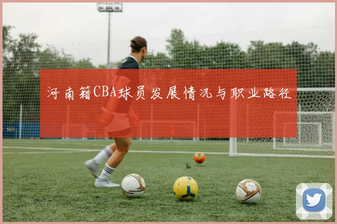 河南籍CBA球员发展情况与职业路径
