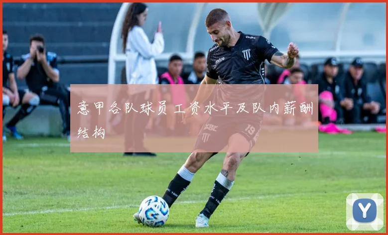 意甲各队球员工资水平及队内薪酬结构