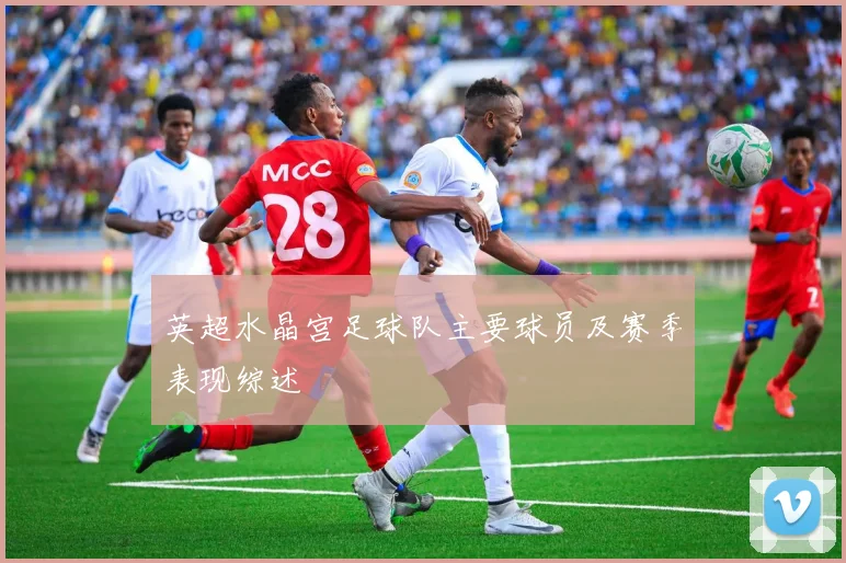 英超水晶宫足球队主要球员及赛季表现综述